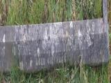 image of grave number 709425